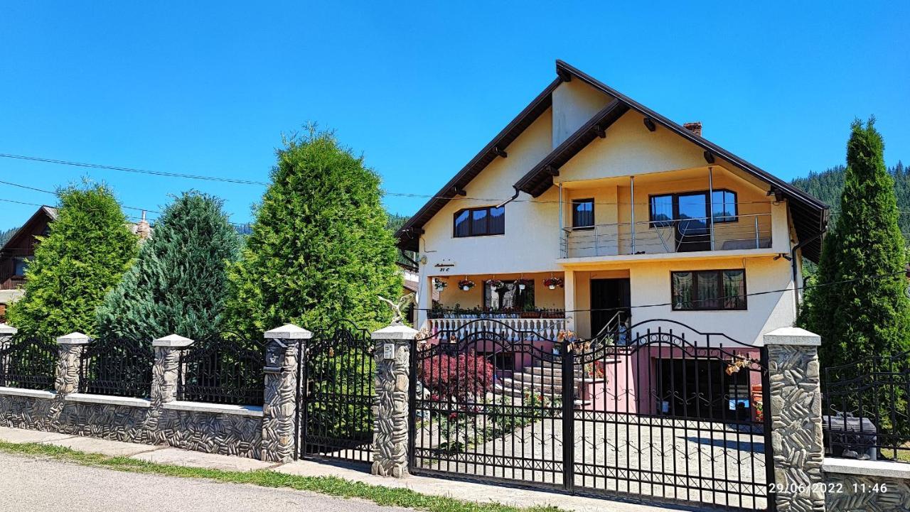 Dariamaf Apartment Câmpulung Moldovenesc Екстериор снимка