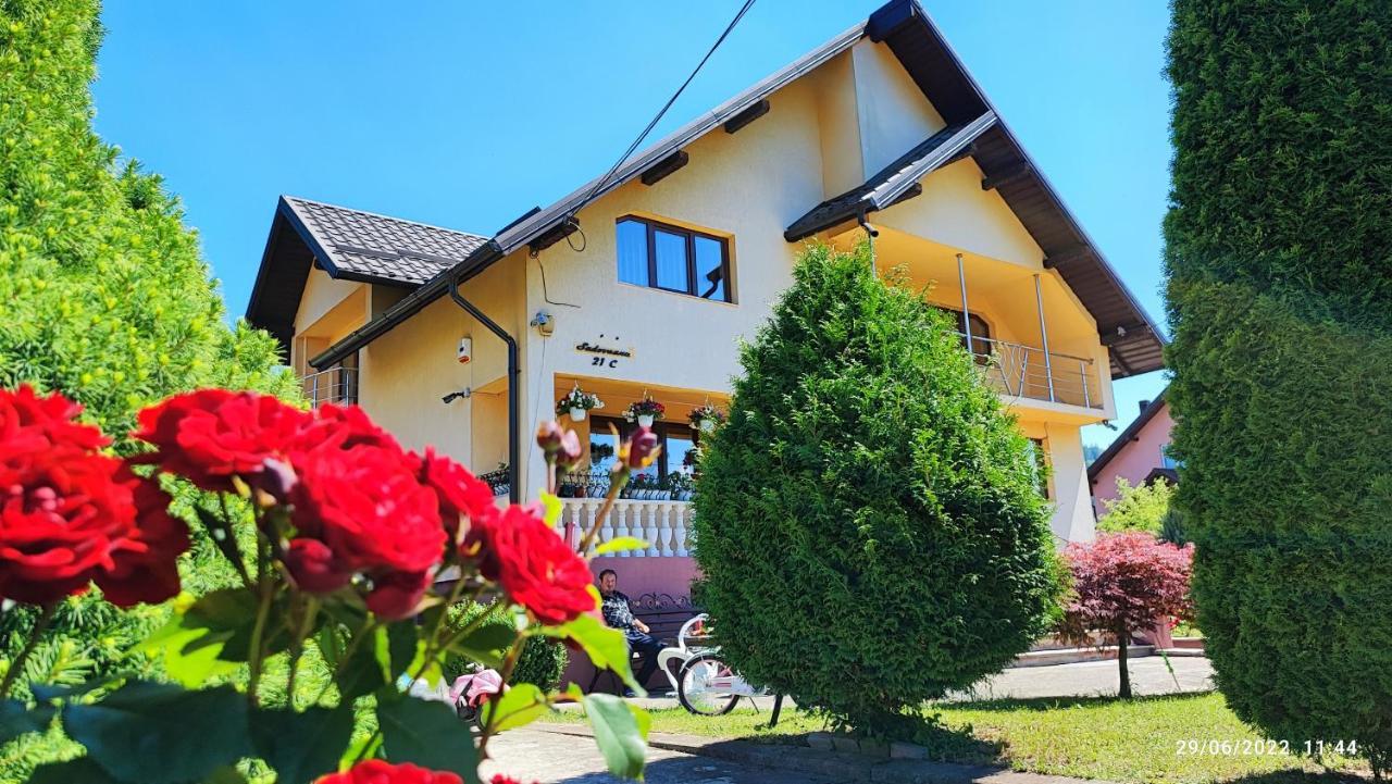Dariamaf Apartment Câmpulung Moldovenesc Екстериор снимка
